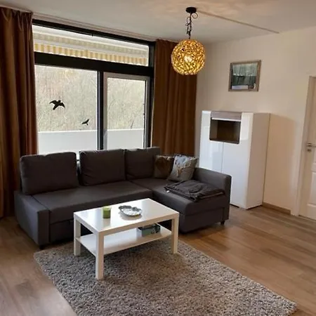 Schwalbennest Apartment Bad Harzburg Exterior photo