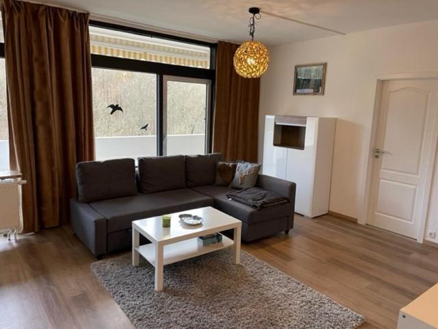 Apartment Schwalbennest Bad Harzburg