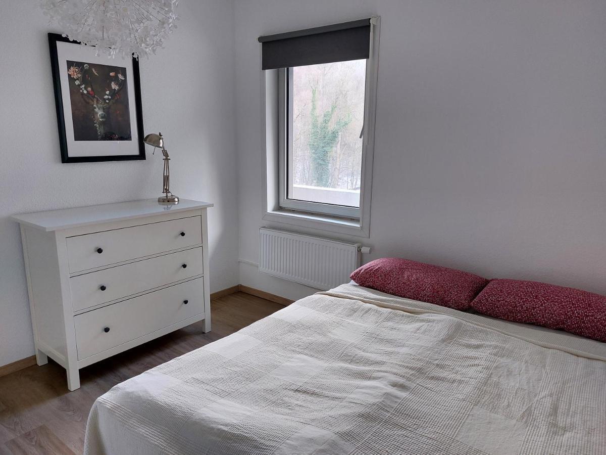 Schwalbennest Apartment Bad Harzburg